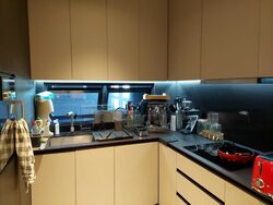 3 Cuscaden (D10), Apartment #469700581